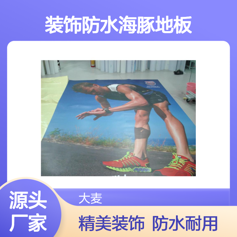 批发3D可移除墙贴地面装饰防水海豚地板贴画卫生间浴室地贴DM006