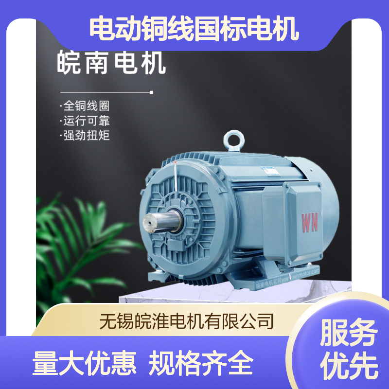 皖南电机NE系列高效高转矩三相异步电动机 全铜线圈 支持定制