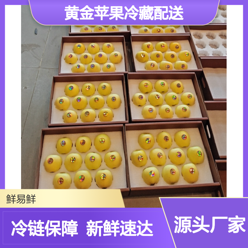 维纳斯黄金苹果冷藏配送 新鲜脆甜多汁 全国冷链物流