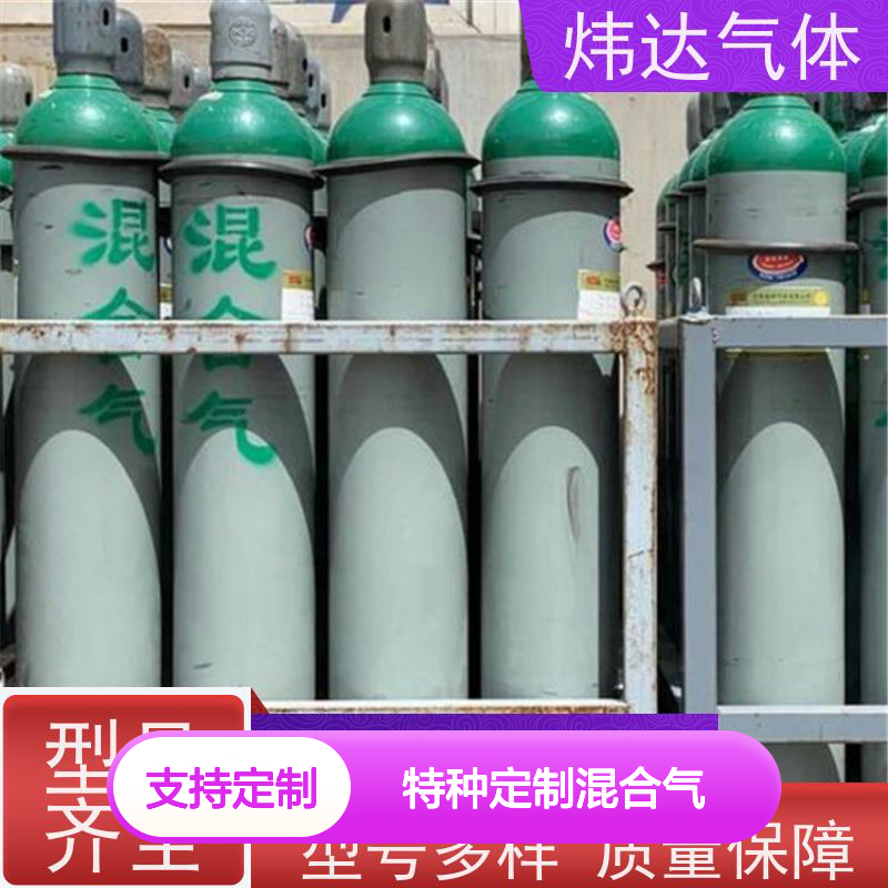 特种定制混合气（电子气）半导体用 炜达气体纳米级净化