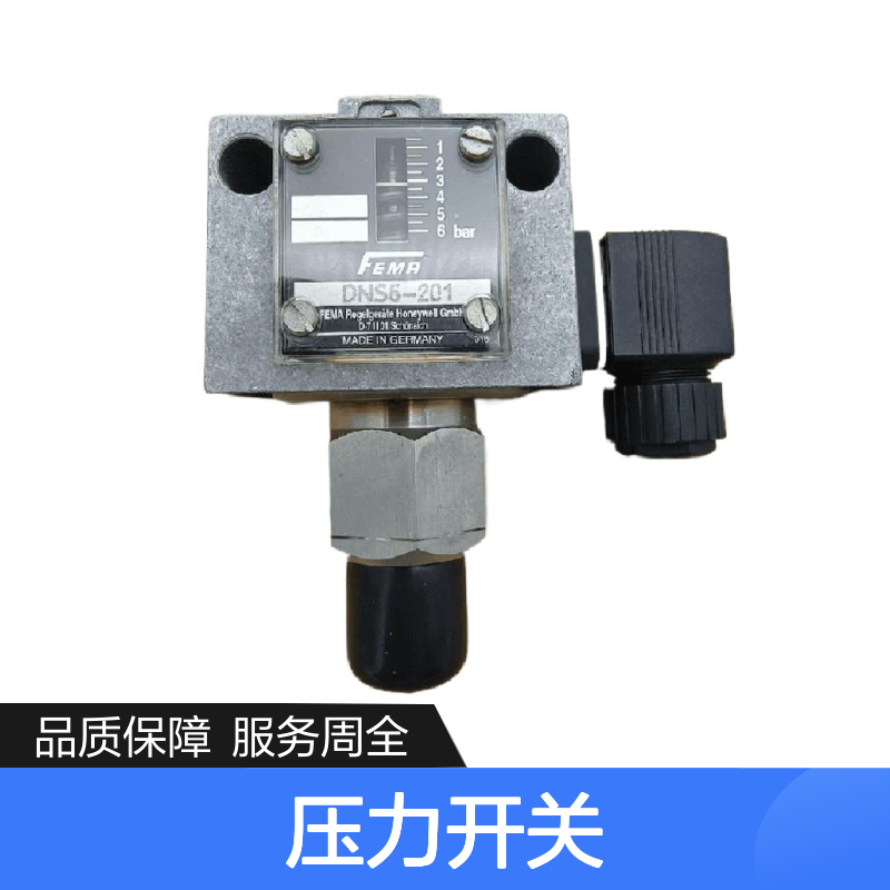 德国FEMA菲玛DWR40-203压力开关，电力化工优选