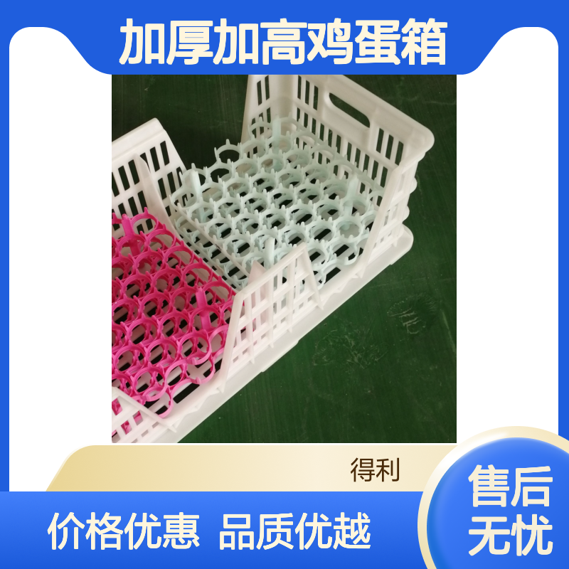 W型新式种蛋筐 塑料蛋箱 加厚加高鸡蛋箱 厂家供应