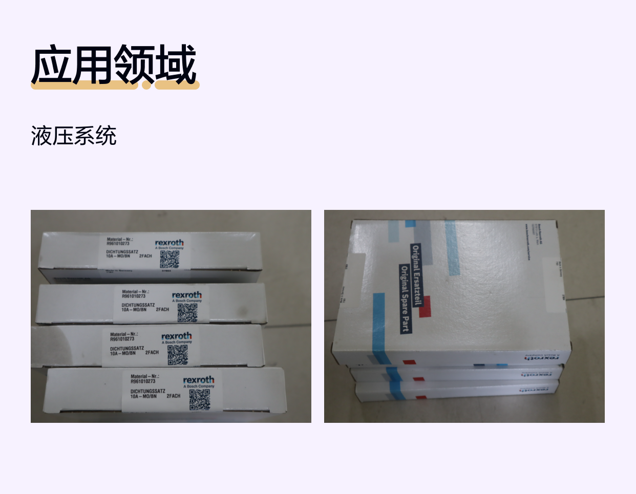 力士乐REXROTH蓝色铸铁密封套件R961010273液压系统用