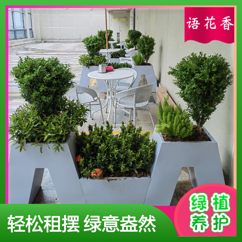 中心会场绿植出租 写字楼商场花卉植物盆景短期长期租摆