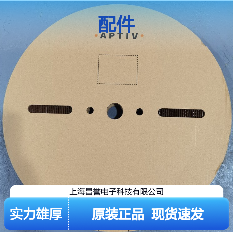 APTIV德尔福10738202接插件配件原装进口现货