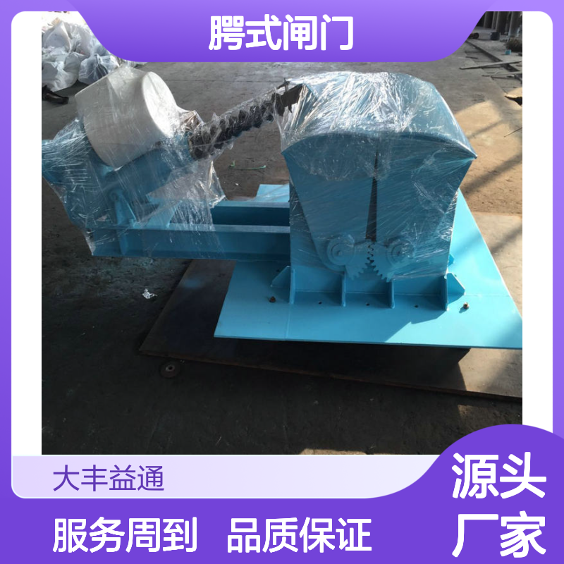 DEZ型腭式闸门 电液动控制 设计合理 启闭灵活 投资节省