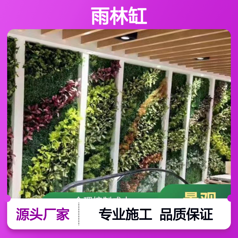 雨林缸 宠物景观制作 施工现场指导 运用地形变化塑造空间
