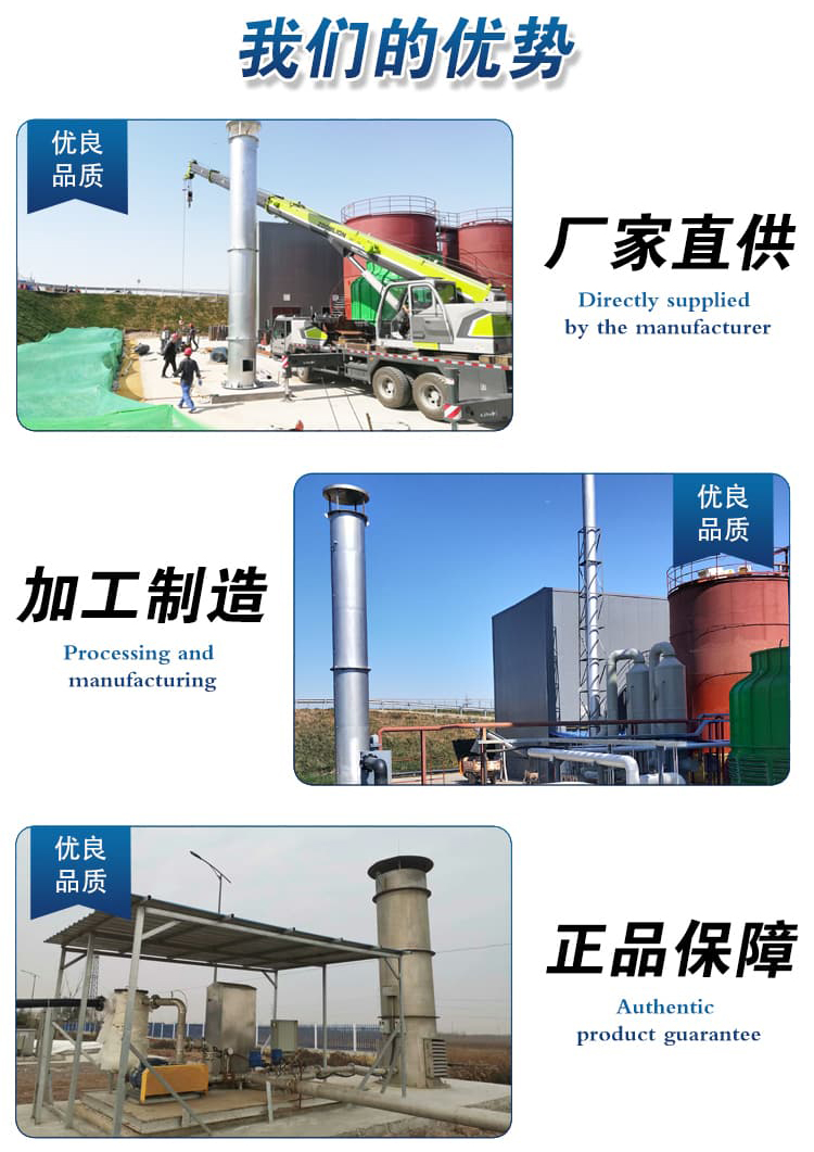 Biogas internal combustion torch small fully automated combustible gas combustion emission equipment anaerobic incinerator