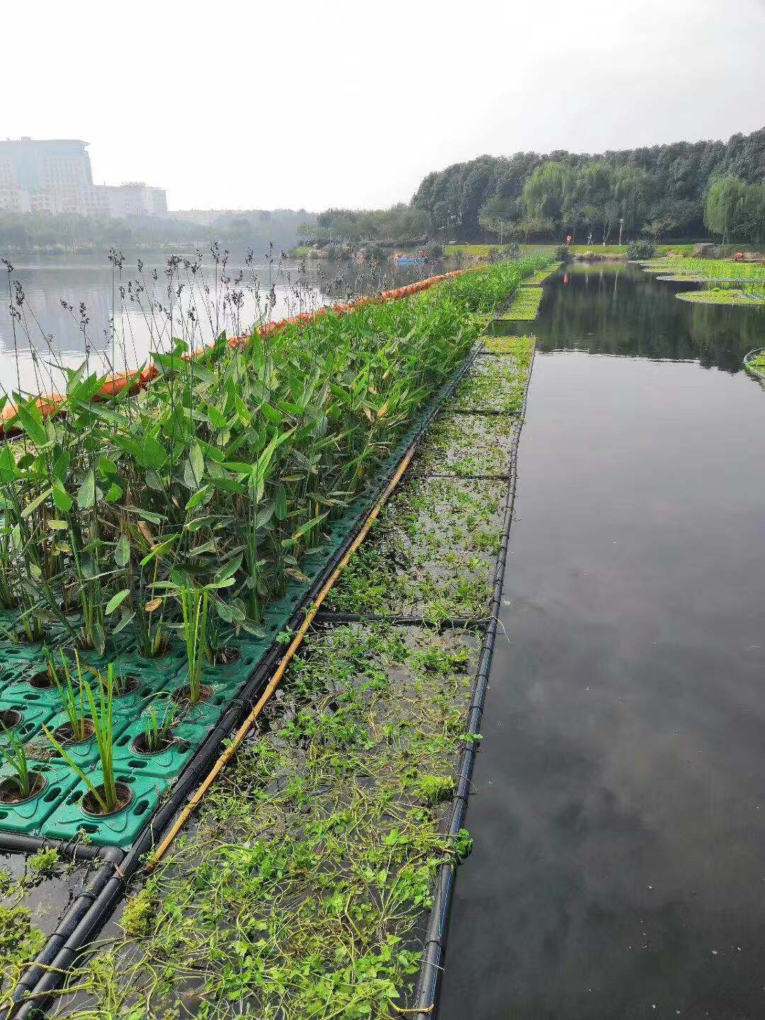 河道生态浮床水上植物种植浮板复合纤维浮动湿地 人工浮岛安装简便约20.00元(图4)