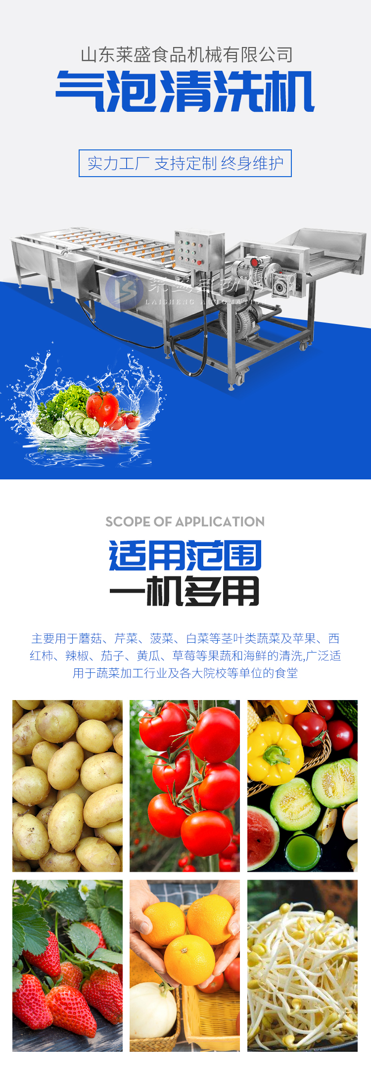 Rape Cabbage bubble cleaning machine Bok choy clean vegetable processing line spinach amaranth cleaning equipment