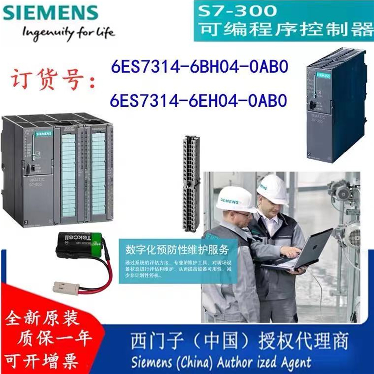 6ES7313-5BG04-4AB1 Siemens SIMATIC S7-300 CPU Module