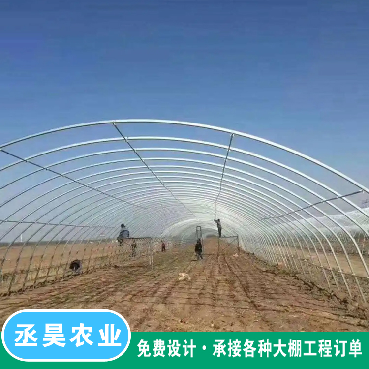 Winter Warm Strawberry Planting Greenhouse Elliptical Pipe Framework Galvanized Flat Pipe with Strong Compression Capacity Spanned Arch Greenhouse