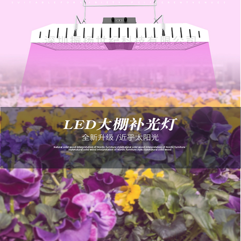 Gavita CT 1930e LED greenhouse fill light plant light American large M light Canadian hemp light