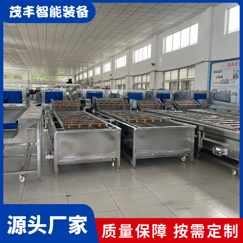 Jujube bubble cleaning spray equipment Bubble cleaning machine Plate and belt type wave cleaning assembly line