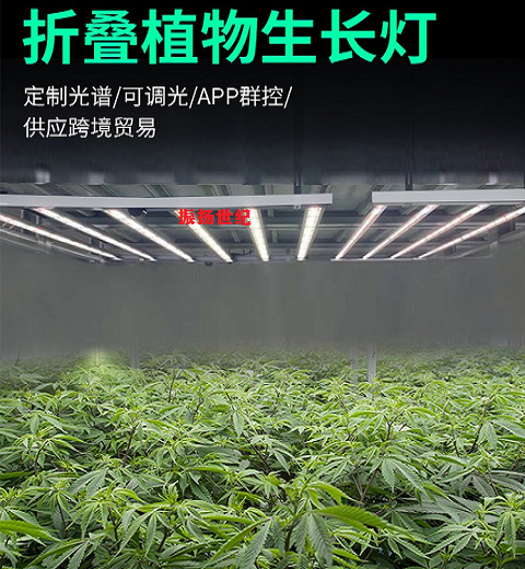 Spain's best-selling new product with ballast foldable plant lamp 720W, exported