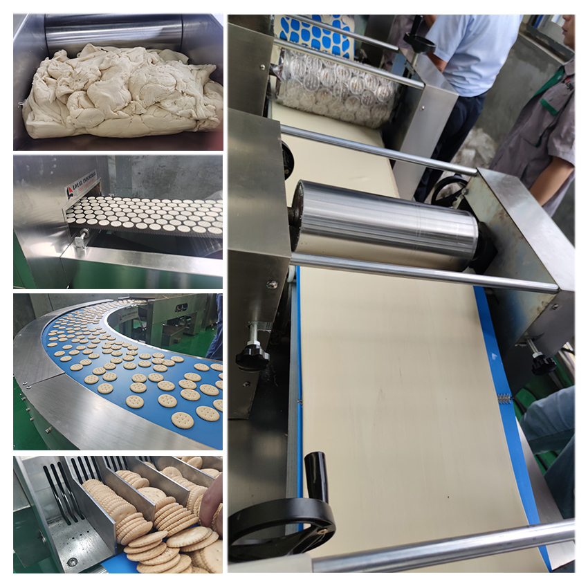 Multifunctional biscuit production line/gas type fully automatic biscuit machine/soda biscuit production machinery and equipment