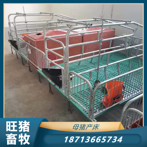 Single sow production bed pig breeding equipment logistics shipment hot-dip galvanized pipe welding Wang pig livestock