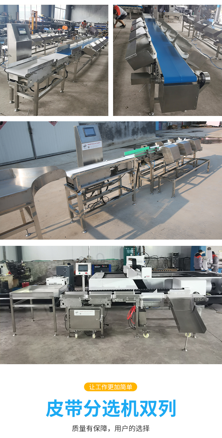 Stainless steel belt sorting machine Yellow croaker and pomfret sorting machine Saint Mary fruit Yangmei sorting equipment