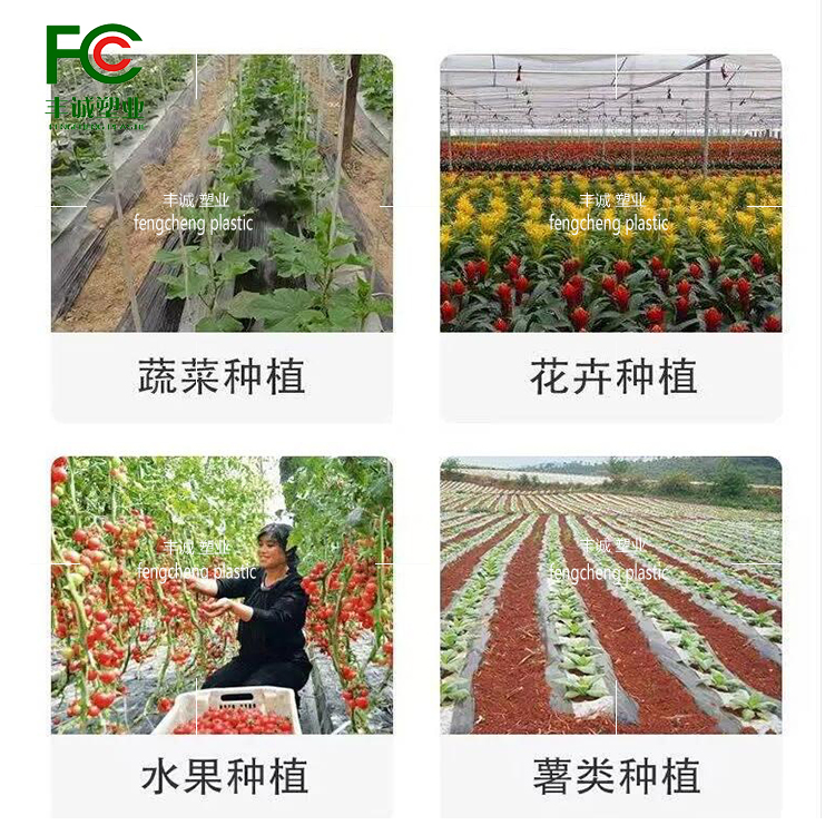 Reflective agricultural insulation, moisture retention, pest control, and grass prevention black and white film for vegetable orchards with alternating black and white film