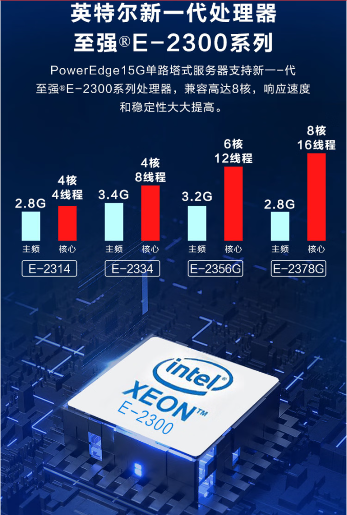 Dell T150/T350 Host Xeon GPU Server ERP Computing Storage Database Sharing