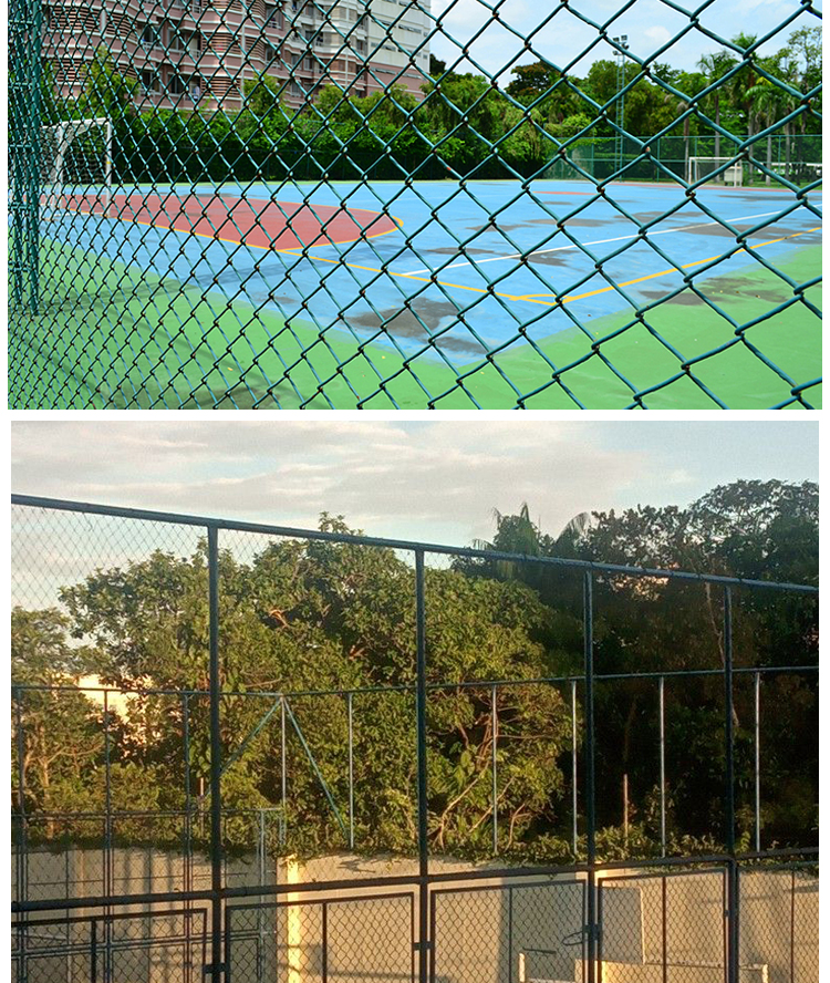 Chongze Frame Ski Field Fence Customized Diamond Hole Wrapped Plastic Hook Flower Net Outdoor Dark Green Playground Fence