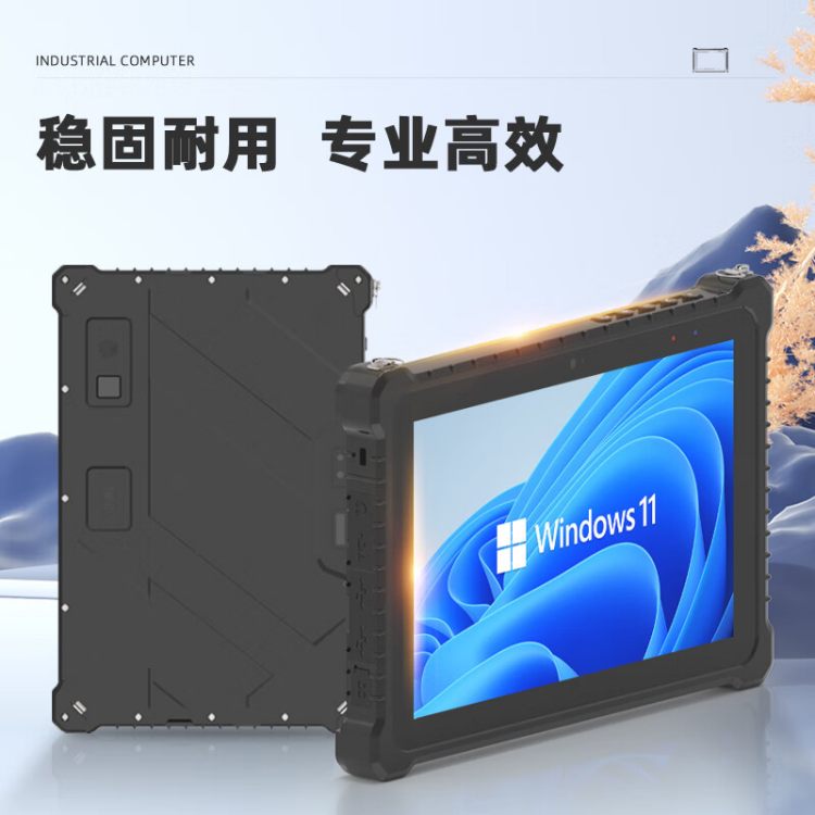 结构示意图