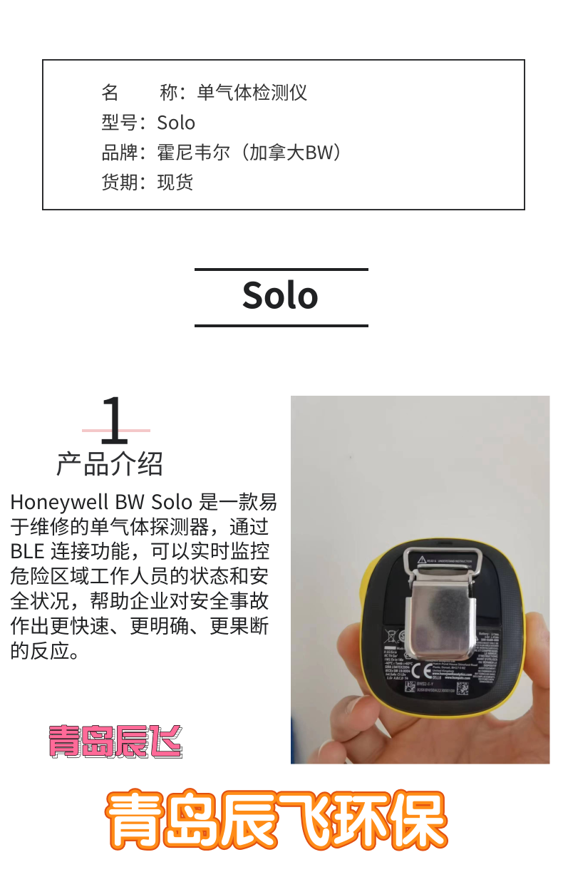 Portable single gas detector Canada BW Solo oxygen maintenance free type