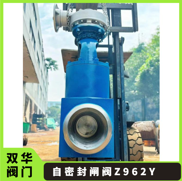 Z962Y锻件电站闸阀导热耐高温阀锅炉DN100DN200 双华阀门