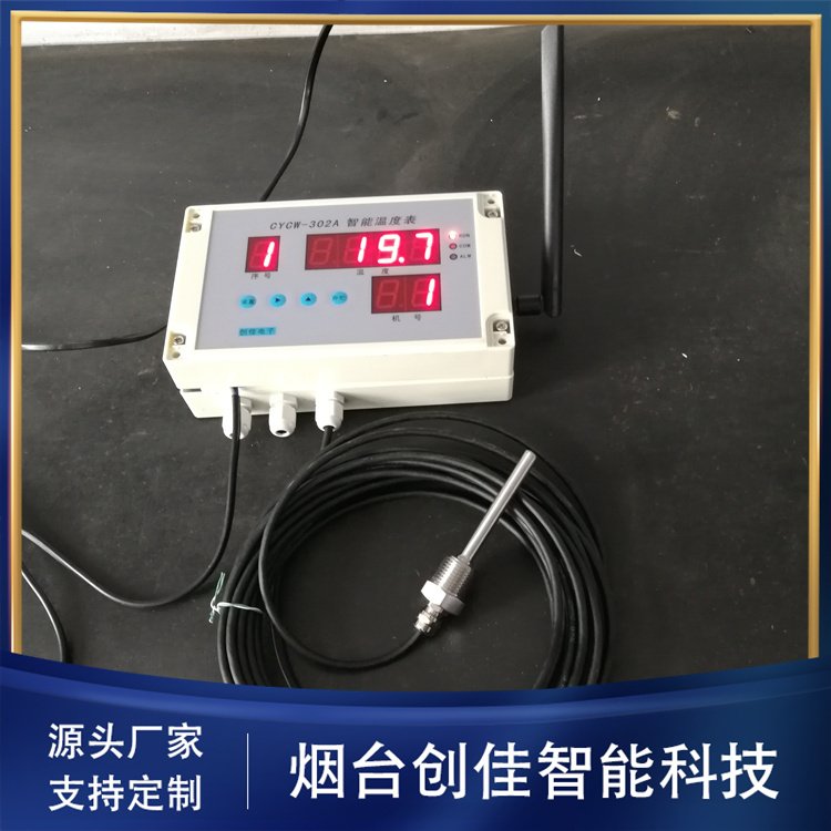 CYCW-302A 智能温度表 PT100探头 蒸锅蒸柜高温测量 专业厂家生产