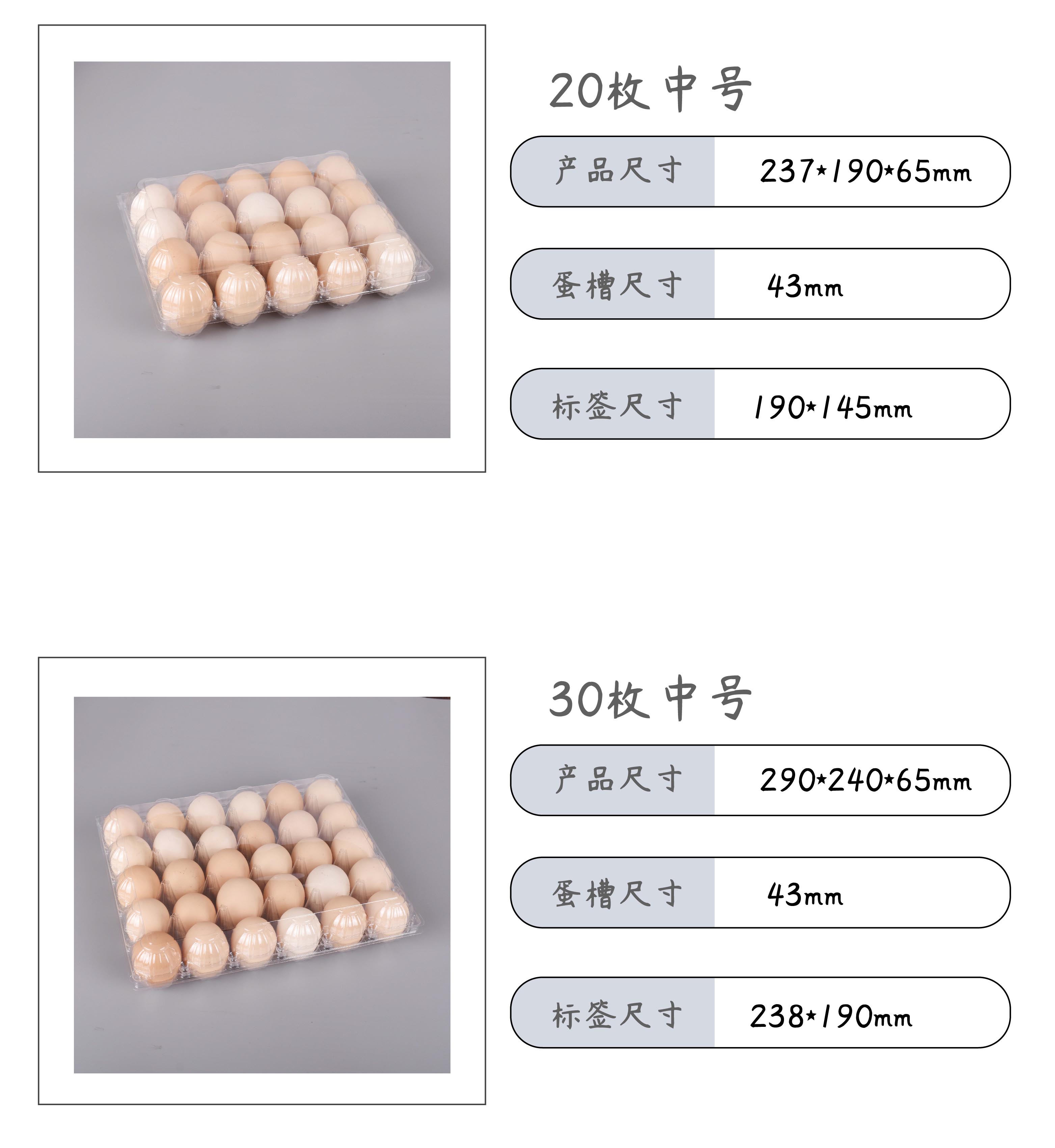 10 disposable plastic egg holders, transparent, thickened, shockproof, and compression resistant packaging, manufacturer's direct sales volume, large discount wholesale