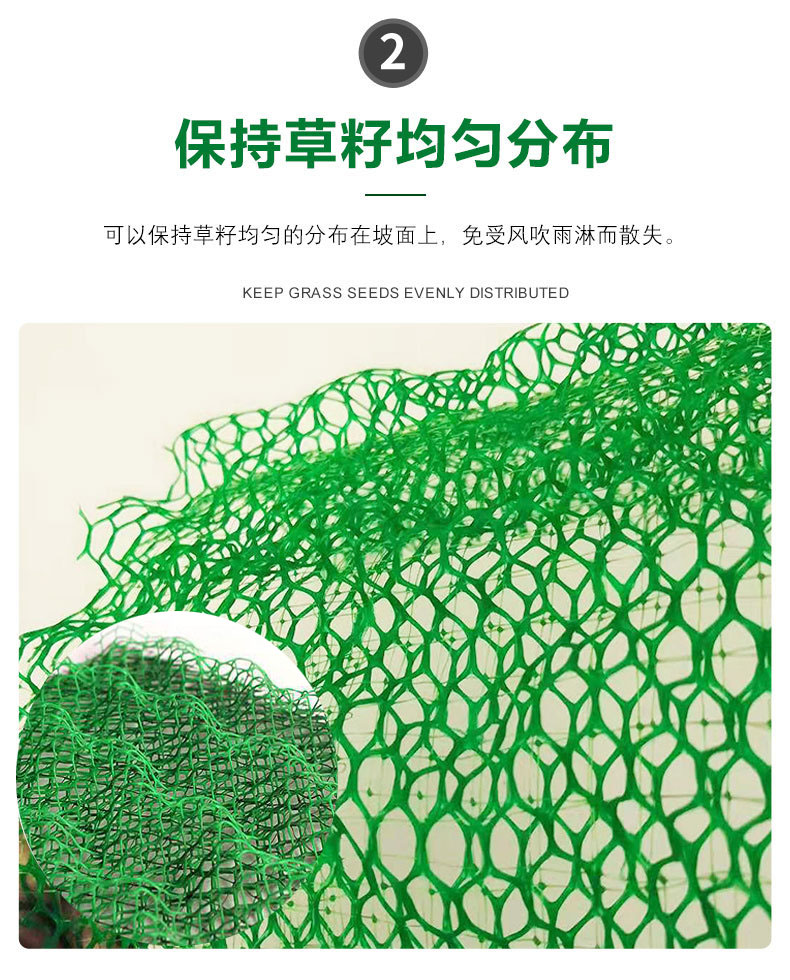 Green 3D Geonet Cushion for River Slope Protection, Vegetation Net Fixed U-shaped Nail for Soil and Water Protection