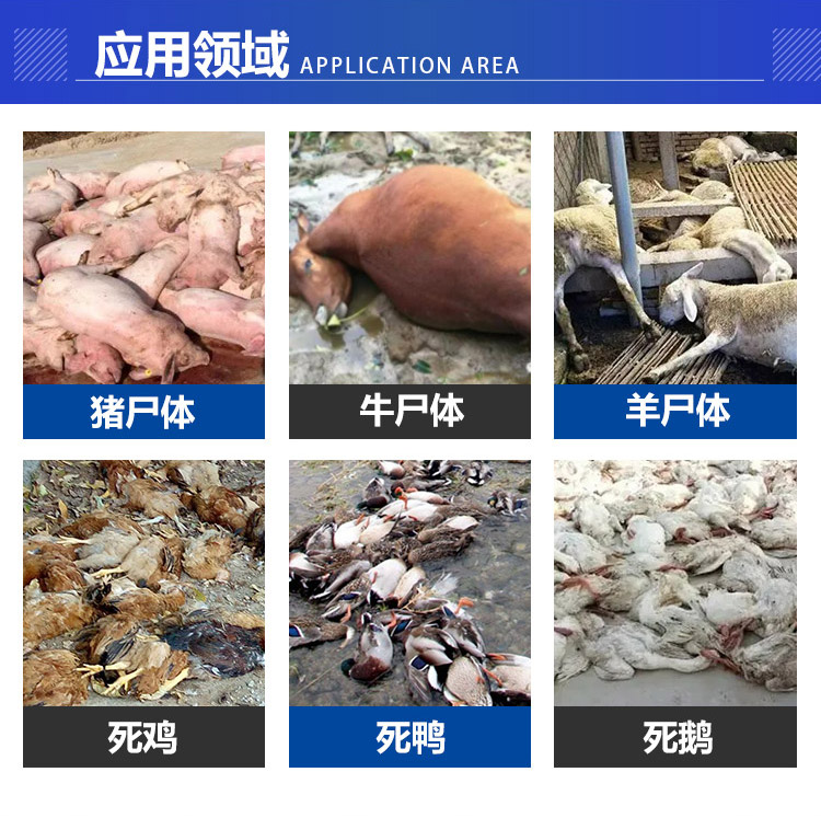 Dead Pig Microbial Degradation Machine Large scale Farm Animal Sterilization Equipment Harmless Treatment Equipment