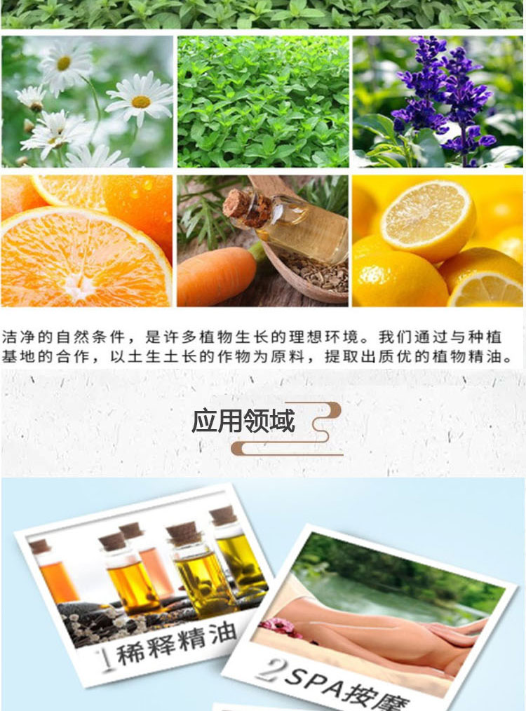 Jinkang Magnolia Flower Oil Manufacturer's Spot Magnolia Flower Essential Oil, Single Formula Plant Essential Oil, Natural Extraction