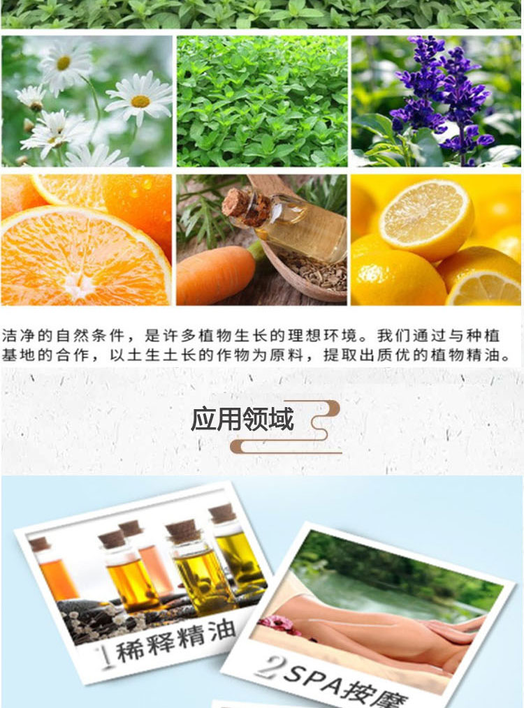 Jinkang High Purity Cinnamon Oil Cinnamon Essential Oil Single Formula Essential Oil Natural Plant Fragrance Oil