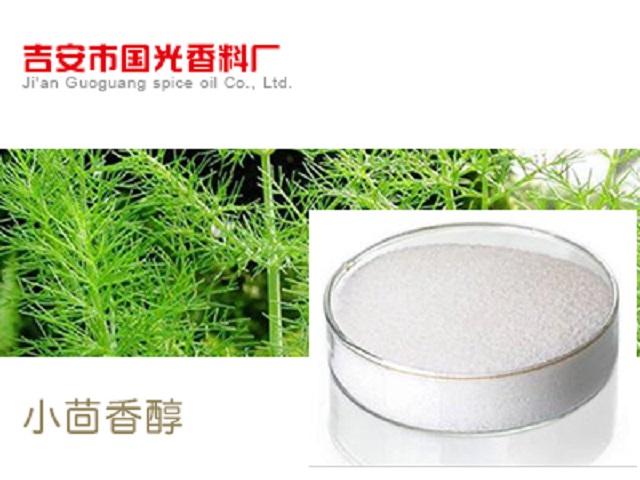 Java sandalwood plant extract single spice 99% content daily chemical essence Guoguang spice spot