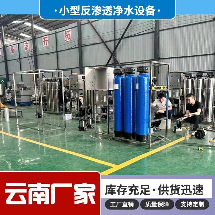 0.5吨双级反渗透水处理设备 纯净水设备 小区学校直饮水过滤系统