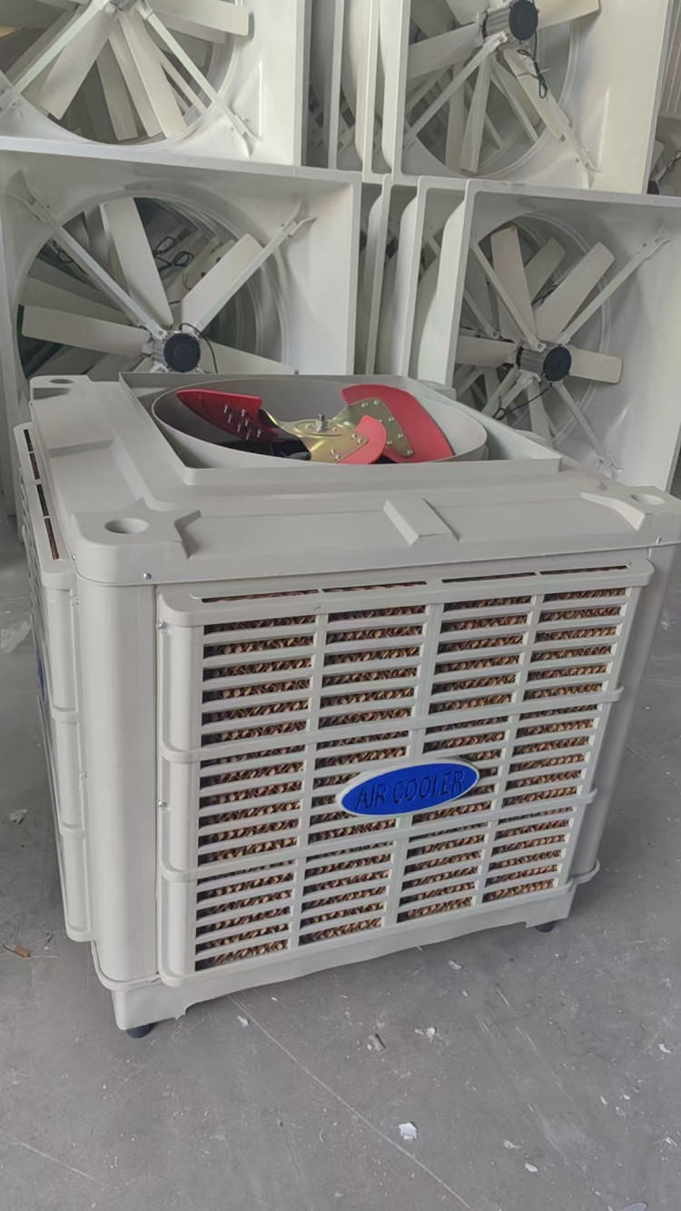赛琦节能机电设备 立式移动冷风机 节能低耗 户外室内通用降温设备