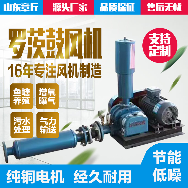 Roots blower for powder conveying (cement, feed, small flakes)