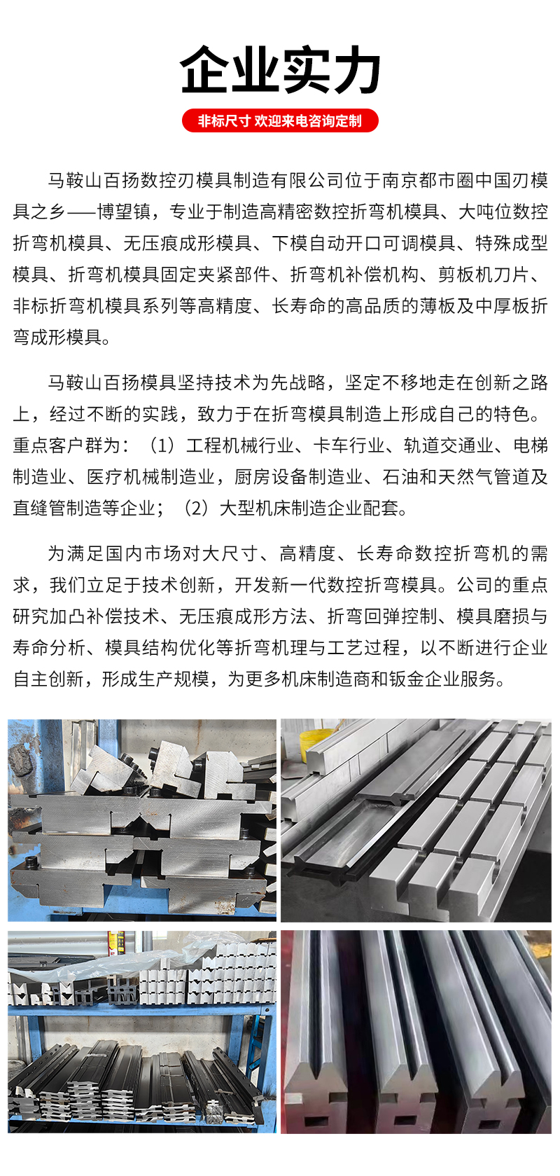 Baiyang CNC Press brake R mould Arc mould Sharp knife Curved knife Forming mould High precision grinder