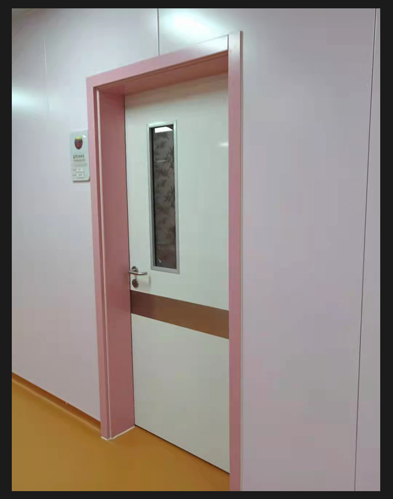 Steel New Energy Clean Purification Door Engineering Hospital Workshop Steel Flat Opening Medical Purification Room Door