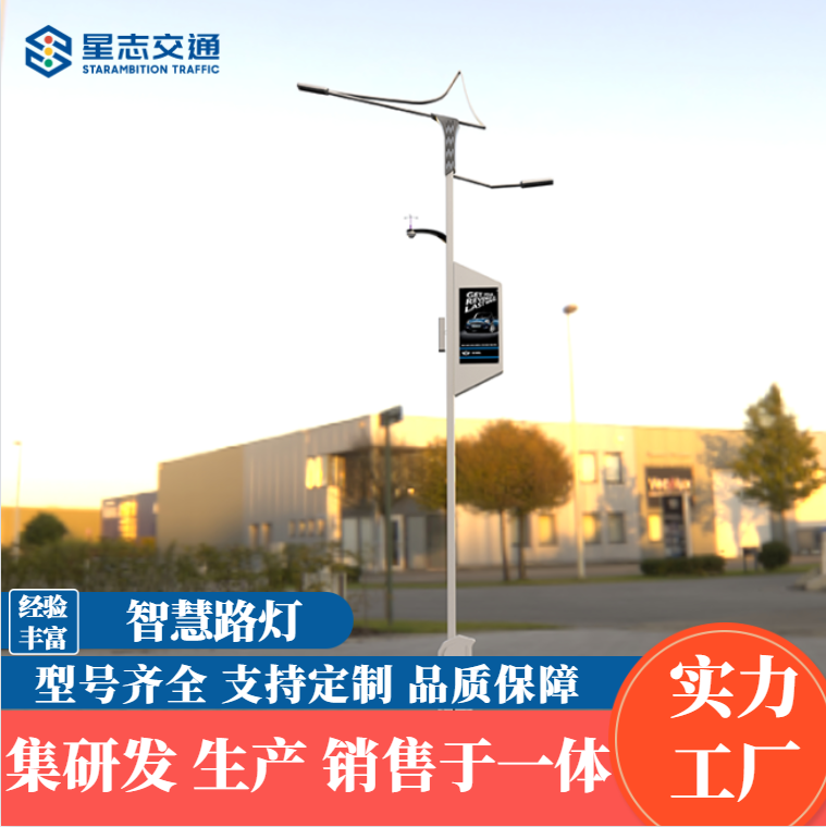 New rural landscape lights, multifunctional smart street lights, pedestrian flow detection, 5G wireless monitoring, municipal road LED lights