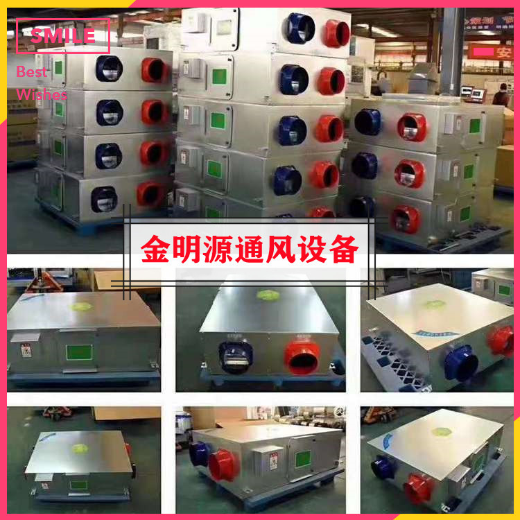 Jinmingyuan Fresh Air System Full Heat Purifier Source Manufacturer Supports Customization