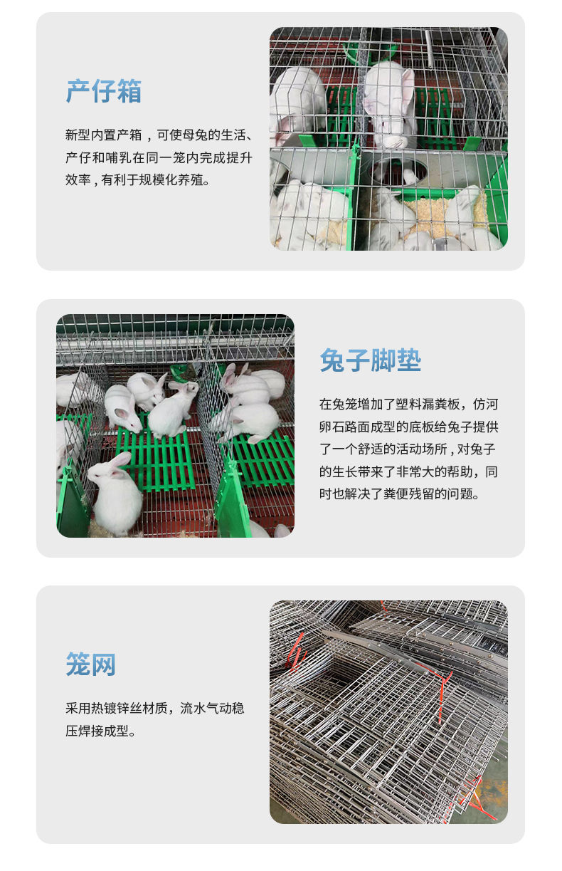 New Breeding Cage Rabbit Cage Behavior Breeding Cage Automation Double Layer European Rabbit Cage Equipment