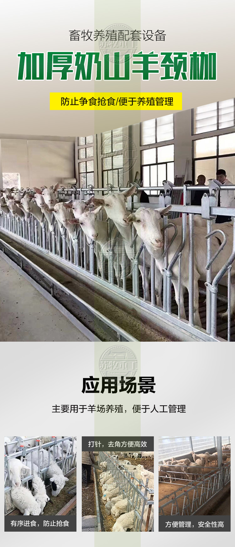 Hot dip galvanized sheep neck clamp supply to Sumu Heavy Industry thickened self-locking sheep neck yoke neck clamp for milk goats