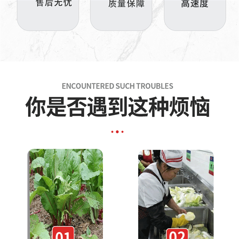 Spot sour bean cleaning machine, customized tea cleaning equipment, pickled vegetable processing and production line