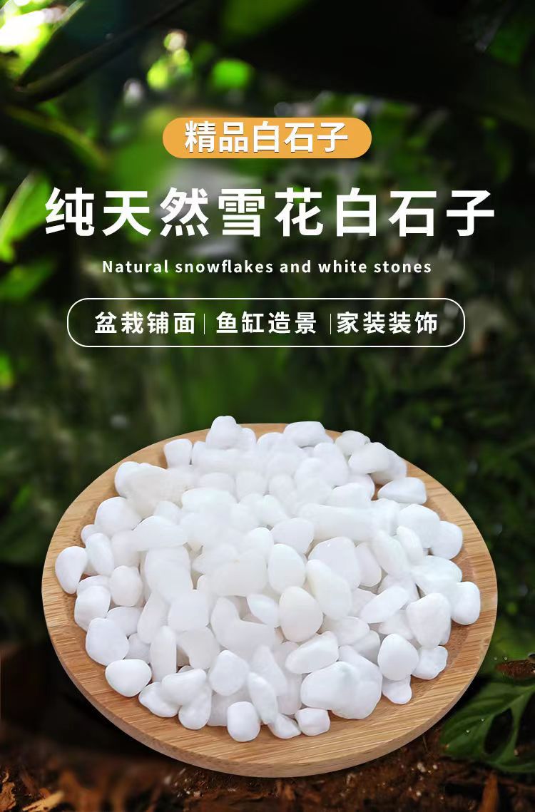 White pebbles 2-4mm with succulent paving for courtyard landscaping, white pebbles for garden landscape