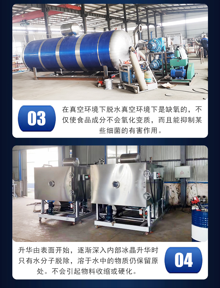 Yonglian 5m2 freeze-drying machine Biological preparation freeze-drying powder facial mask freeze-drying equipment