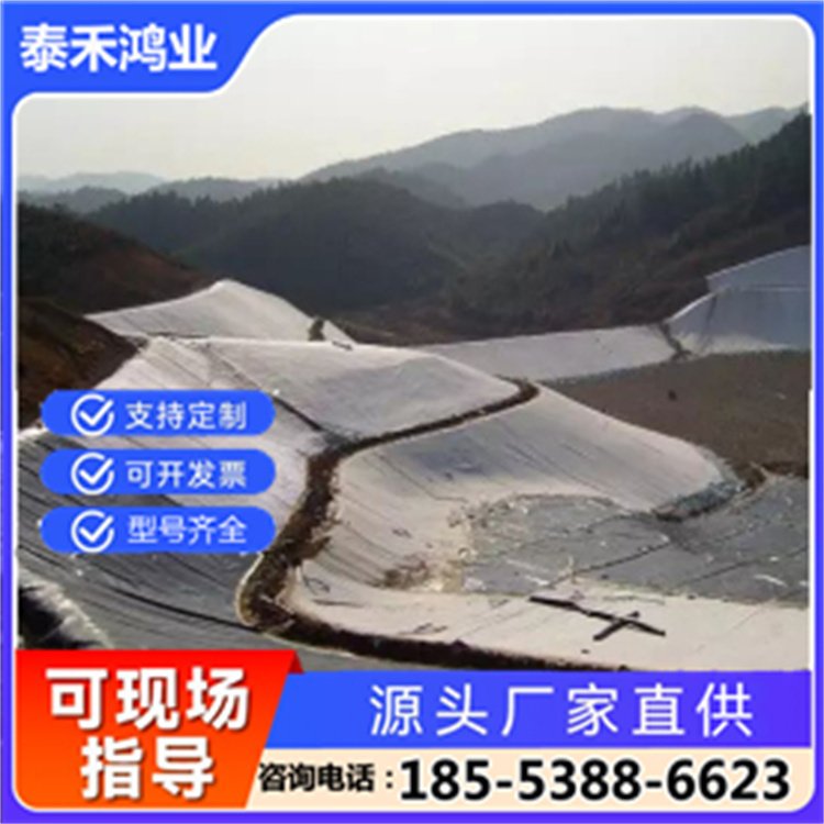 泰禾 4500g 膨润土防水毯 河道治理防渗 密实性好 支持拿样