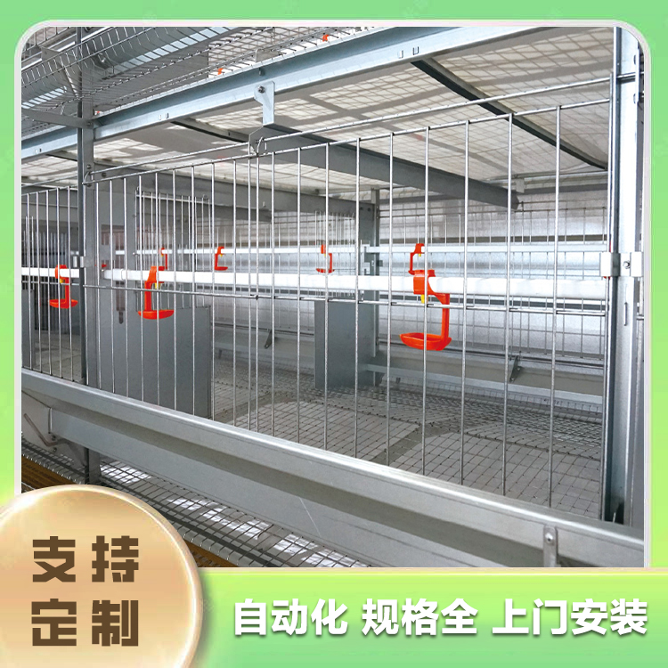 Breeding farm pure water equipment Xingning chicken farm equipment Xingning chicken breeding equipment Chicken self ingredient equipment Egg chicken meat chicken breeding equipment Chicken net equipment