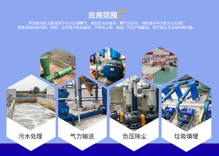 DSR250G dust removal and sewage treatment pneumatic conveying oxidation vulcanization fan high-pressure double oil tank Roots fan